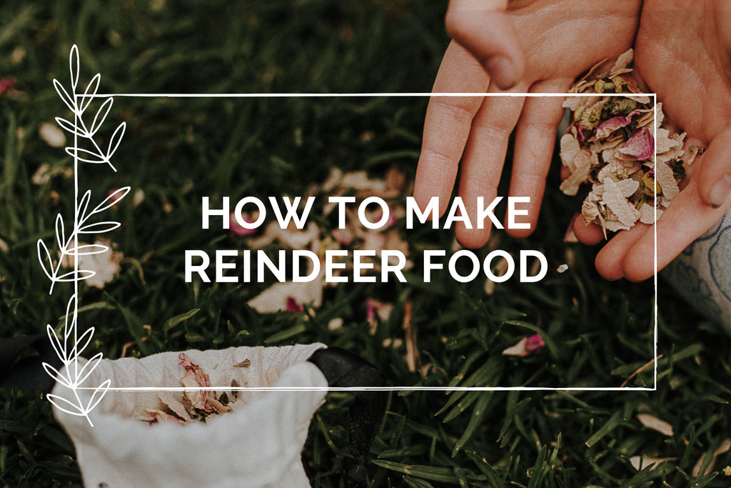How to create Reindeer food at home