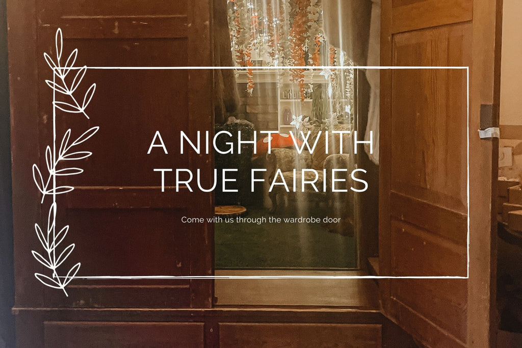 Come with us through the wardrobe door.  Our magical night with the True Fairies